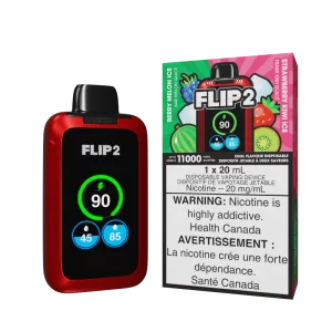 FLIP 2 - BERRY MELON ICE & STRAWBERRY KIWI ICE