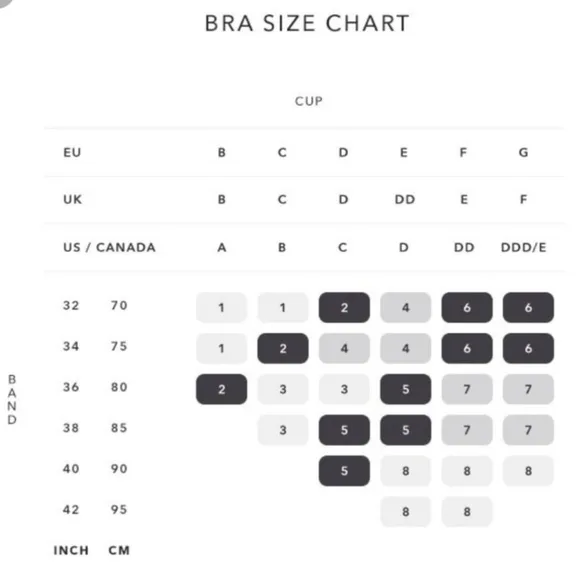 Knix Evolution Bra Size 5 Unpadded Wireless Reversible