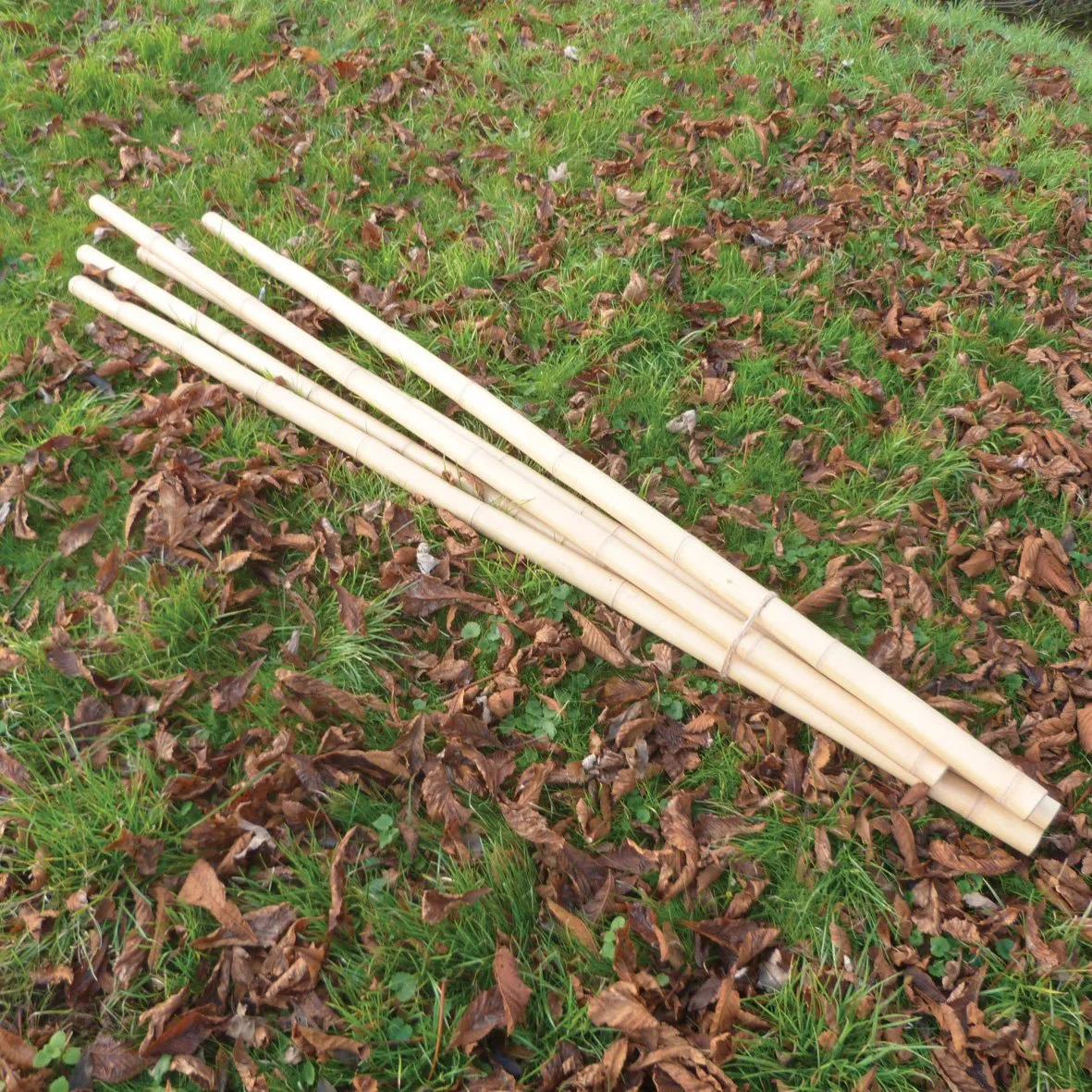 Natural Bamboo Sticks pk 5