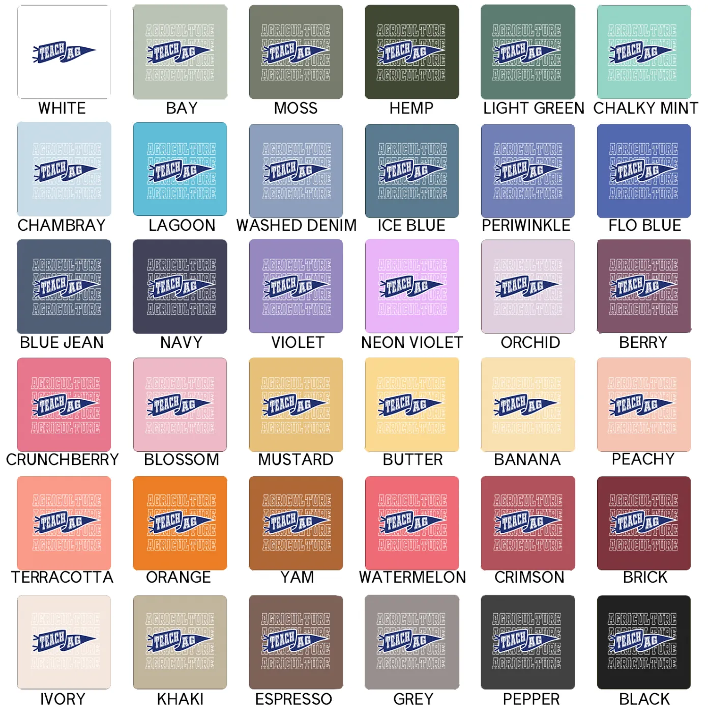Pennant Teach Ag – Comfort Colors T-Shirt