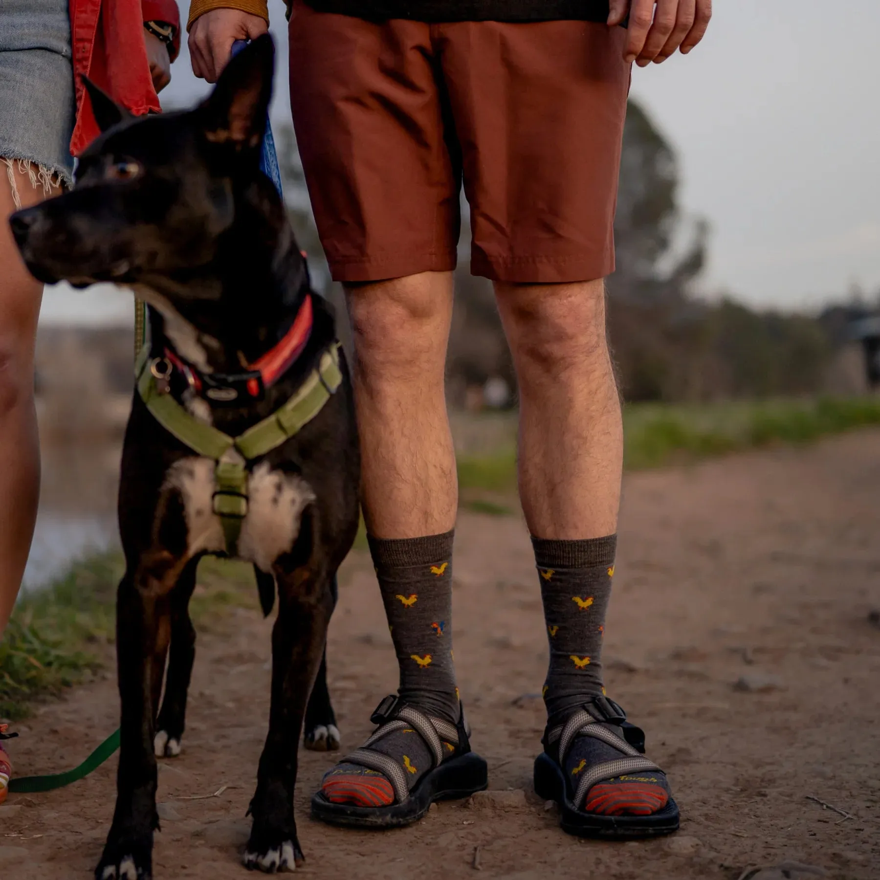 Strut Crew Lightweight Lifestyle Sock (Men's) - D6060M
