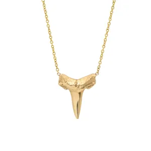 The Haleiwa - shark tooth necklace