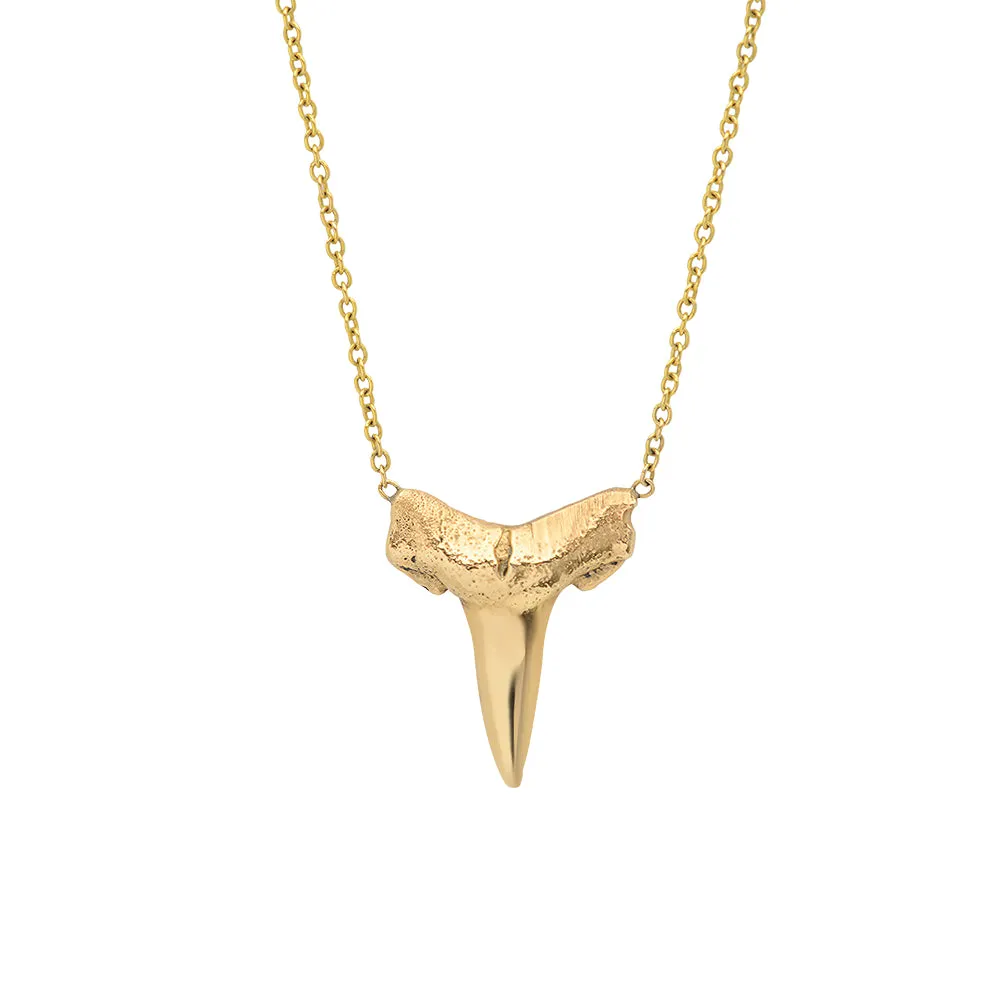 The Haleiwa - shark tooth necklace